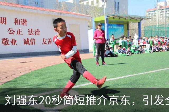 刘强东20秒简短推介京东，引发全场惊叹
